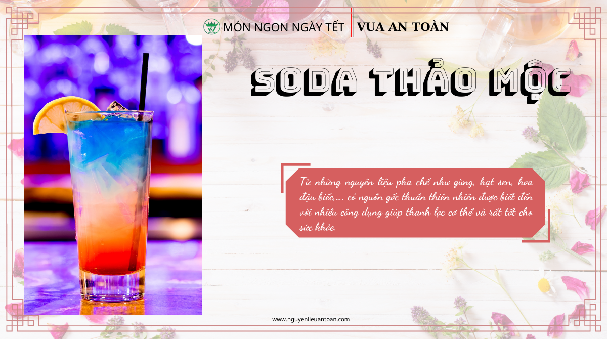 MÓN NGON NGÀY TẾT - SODA THẢO MỘC