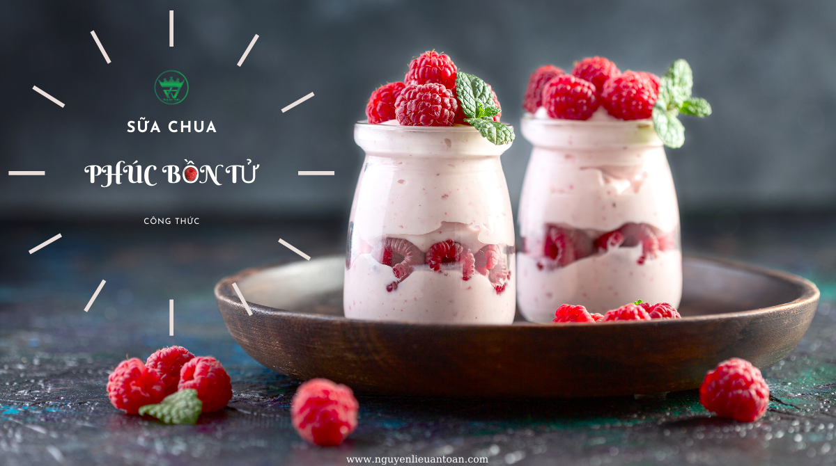 CÔNG THỨC LÀM SỮA CHUA PHÚC BỒN TỬ