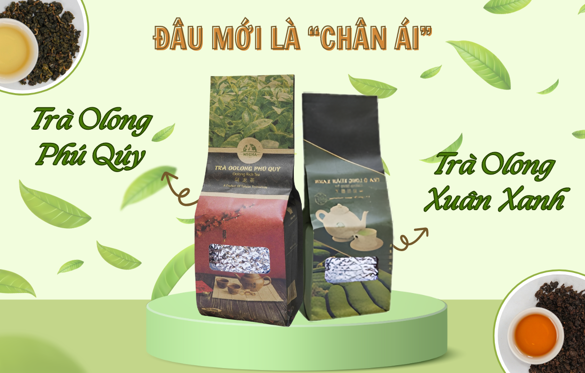 “CHÂN ÁI” CỦA BẠN LÀ LOẠI TRÀ NÀO - TRÀ OLONG XUÂN XANH WECHA HAY TRÀ OLONG PHÚ QUÝ WECHA