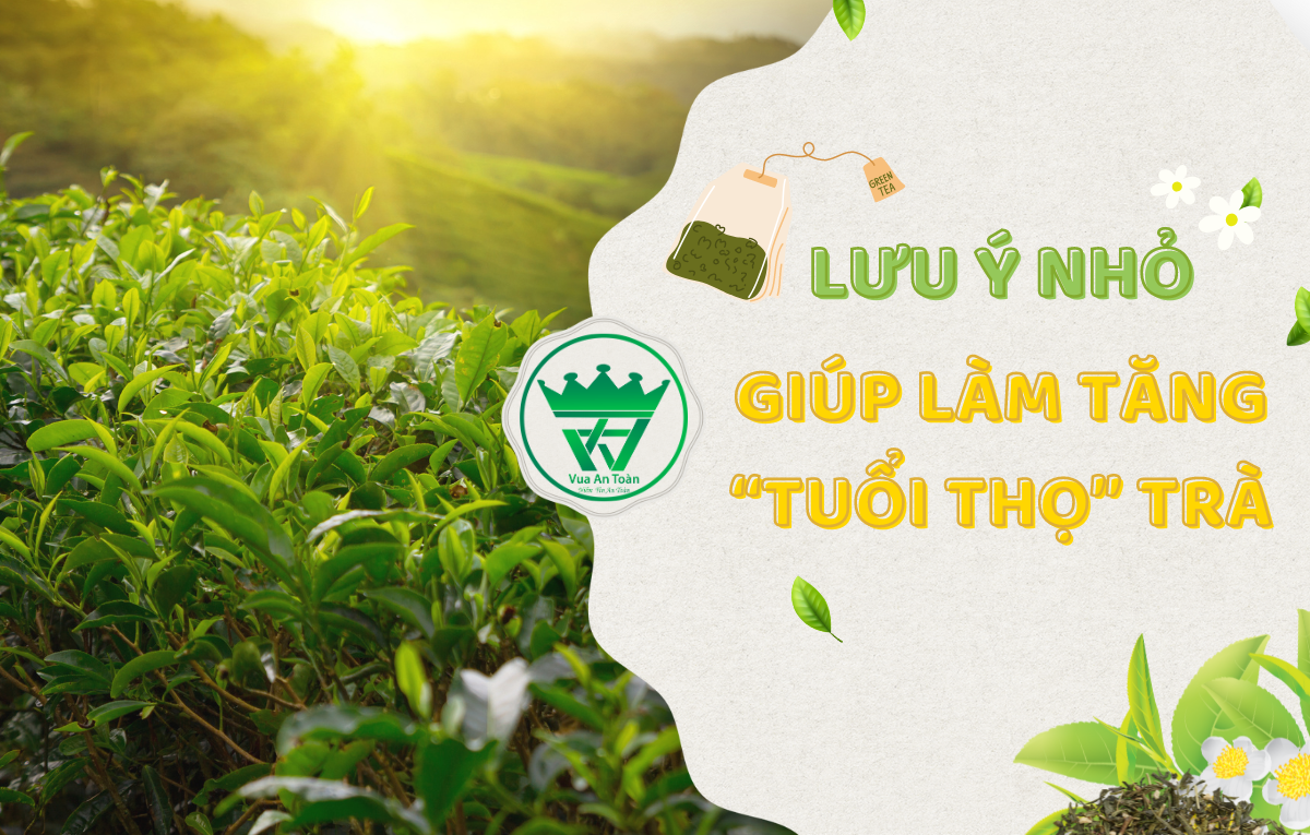 8 LƯU Ý NHỎ - GIÚP LÀM TĂNG " TUỔI THỌ" CỦA TRÀ