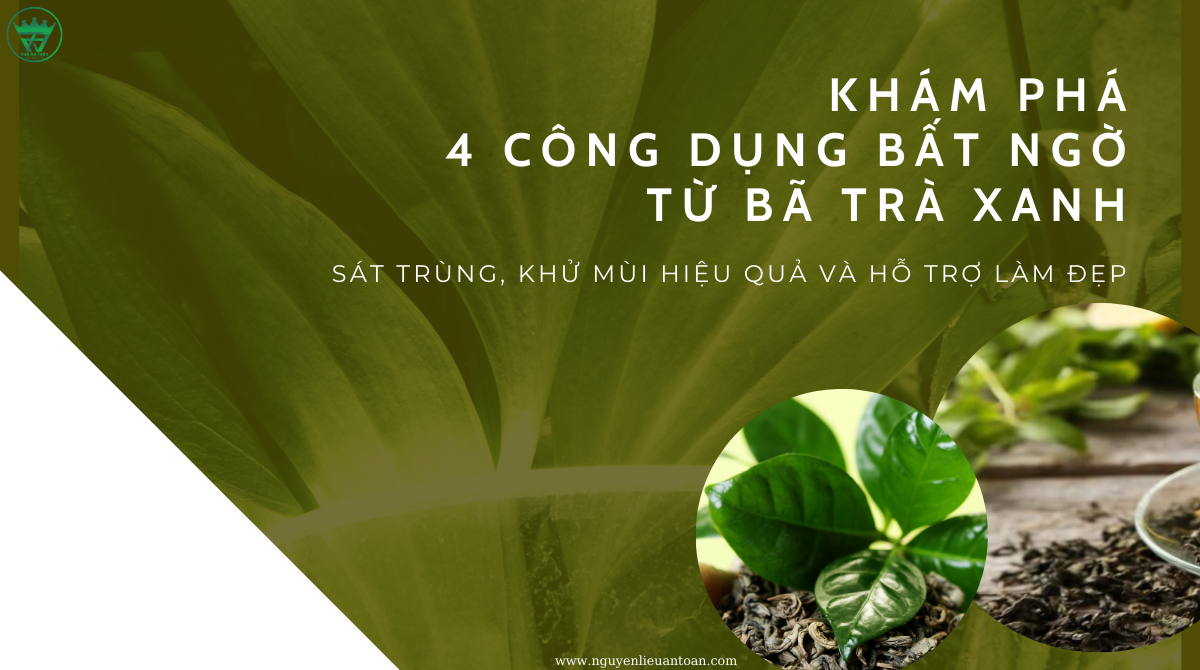 KHÁM PHÁ 4 CÔNG DỤNG BẤT NGỜ CỦA BÃ TRÀ XANH